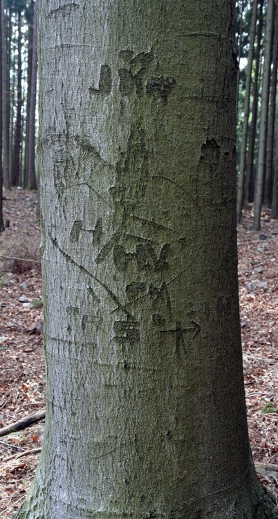Kuchyňka