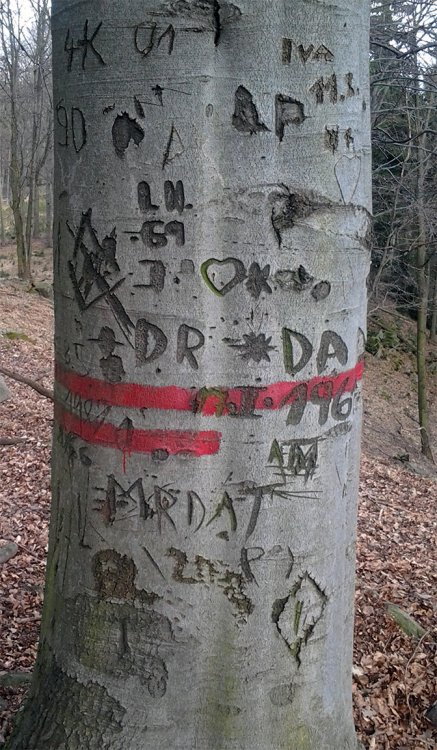 Kuchyňka