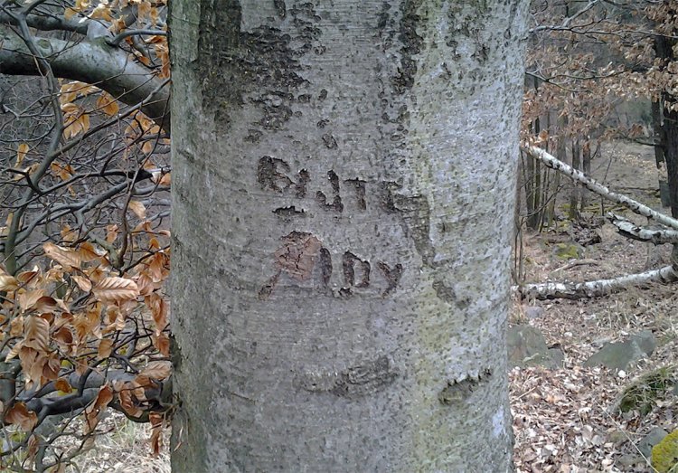Kuchyňka