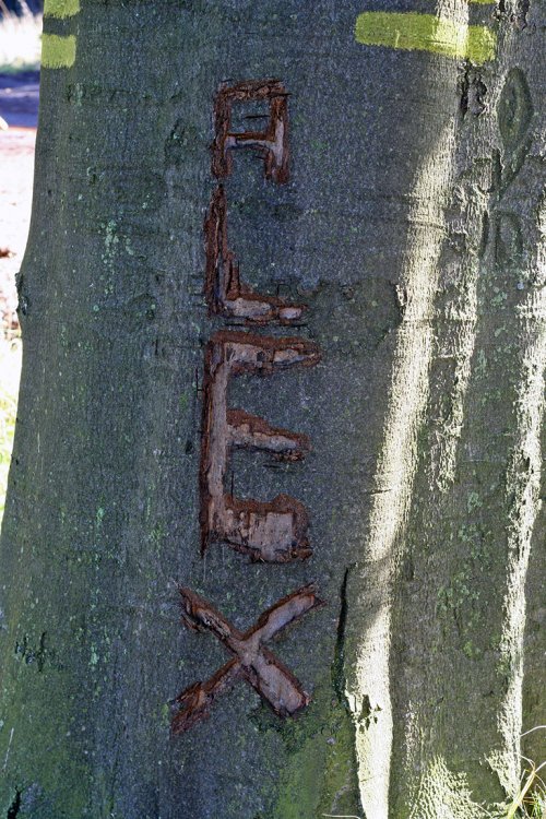 Na Rovinách