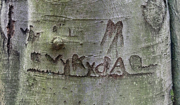 Pod Růžkem