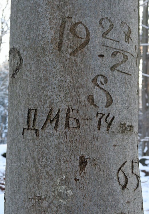 Pod Špičákem