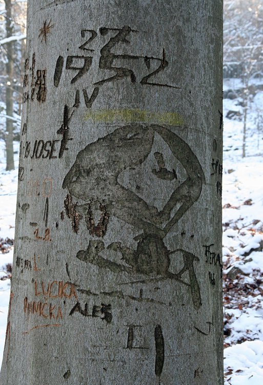 Pod Špičákem