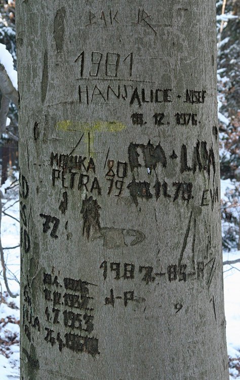 Pod Špičákem