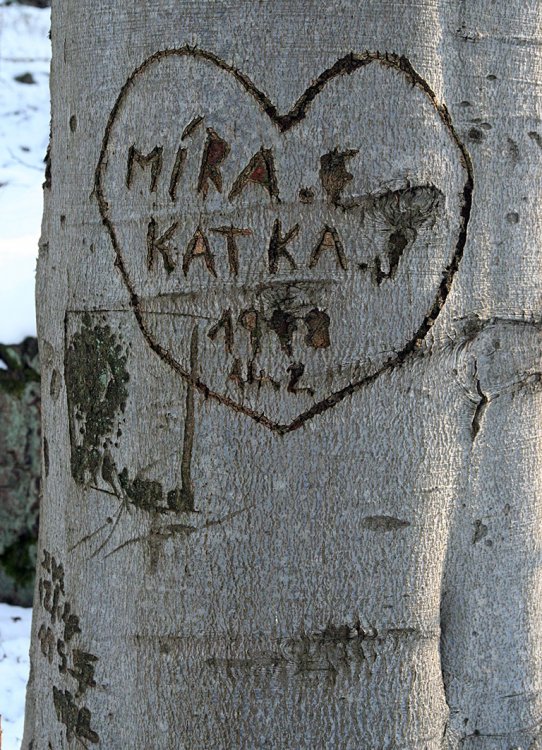 Pod Špičákem