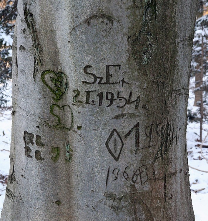 Pod Špičákem
