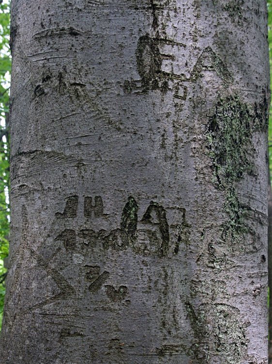 Teslíny - klášter