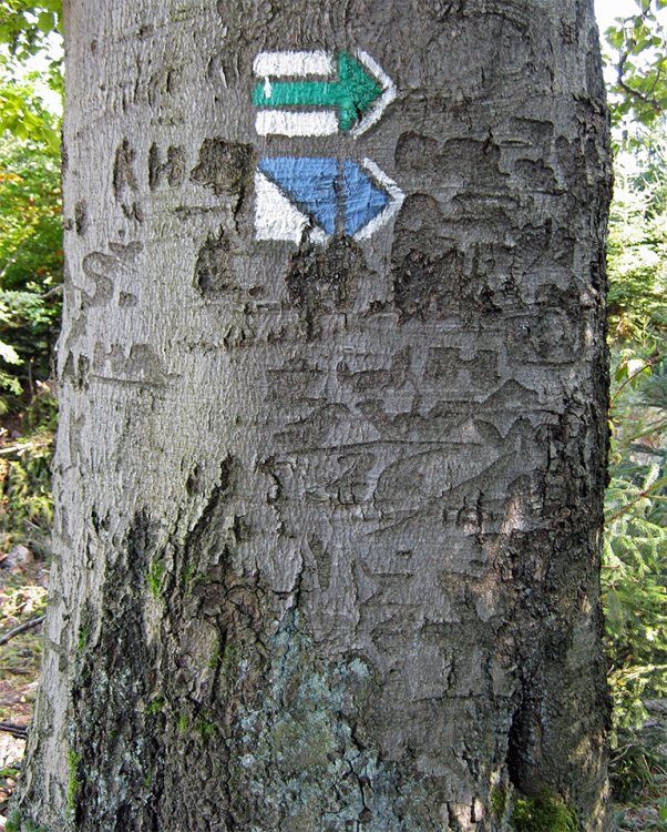 Třemošná