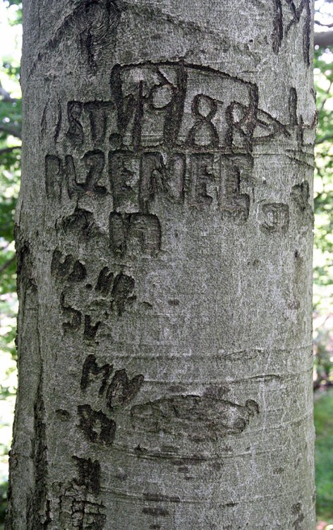 Třemšín