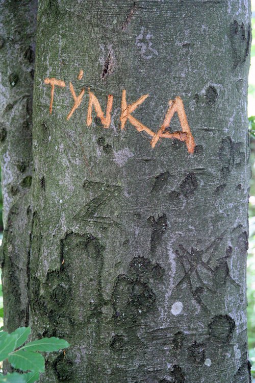 Třemšín