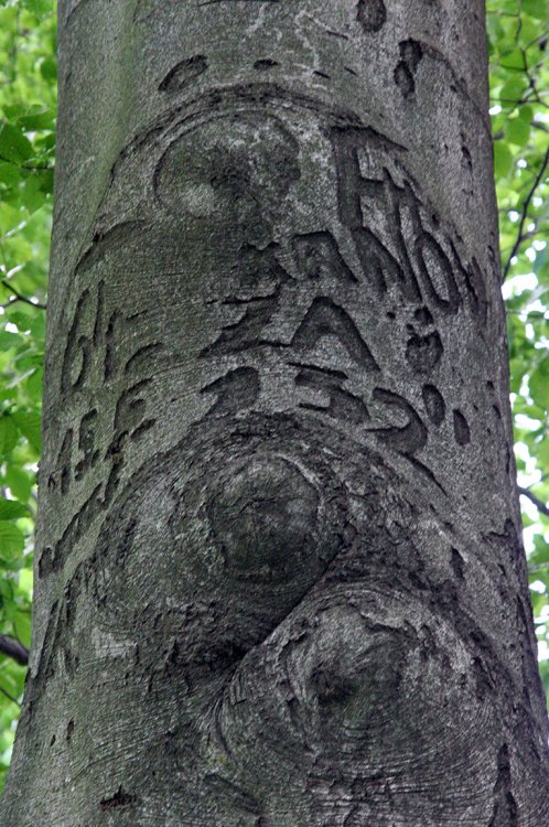 Třemšín