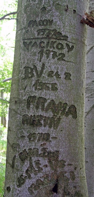 Třemšín