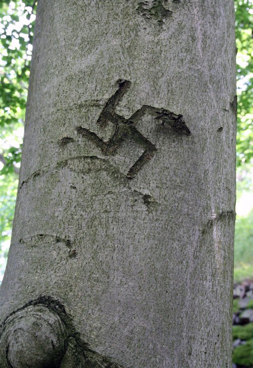 Třemšín