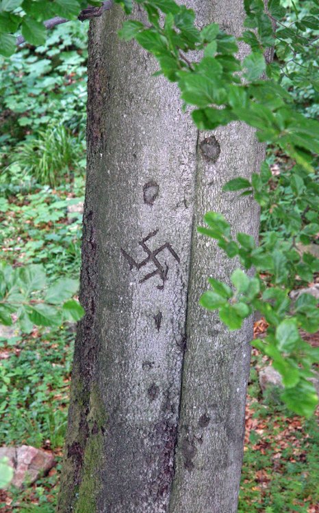 Třemšín