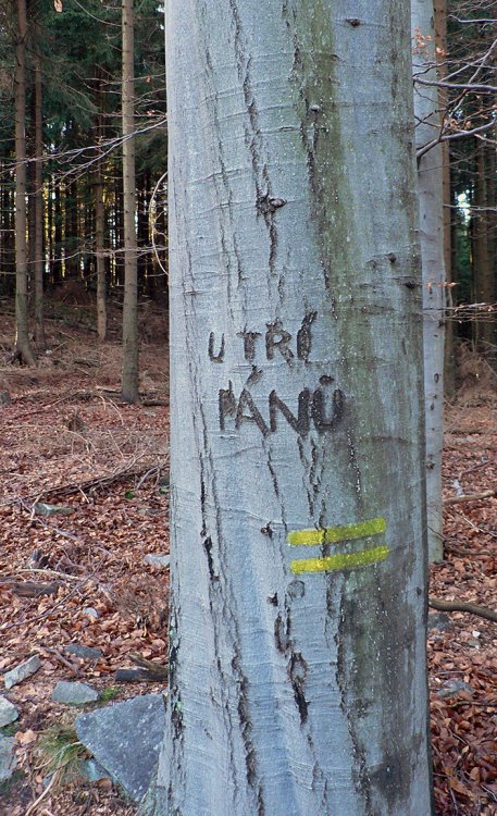 U Tří pánů