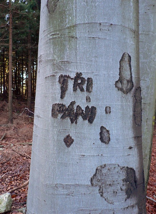 U Tří pánů