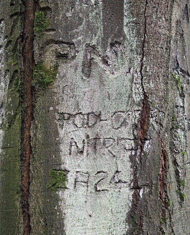 Valdek