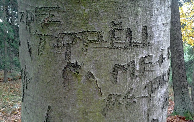 Žďár
