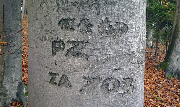 Žďár