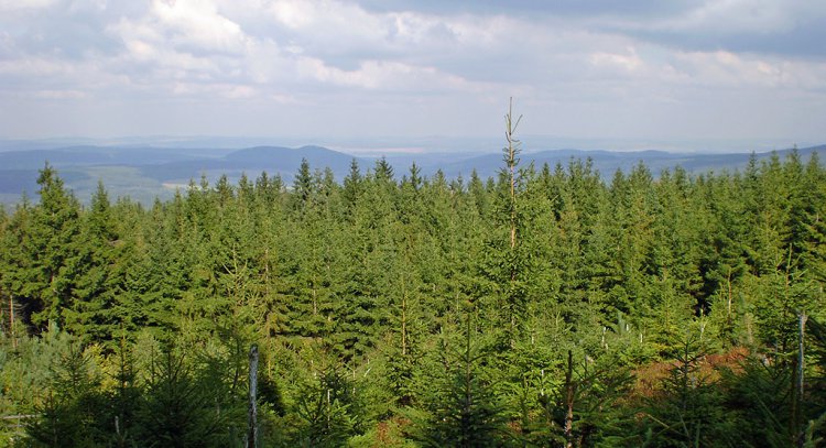 Rozhledy z Hlavy