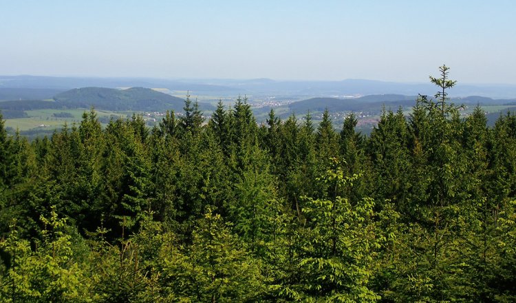 Rozhledy z Hlavy