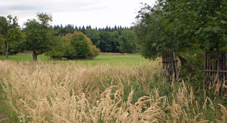 Skelná Huť