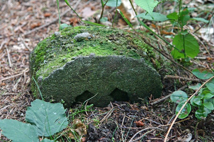 Důležitý svědek