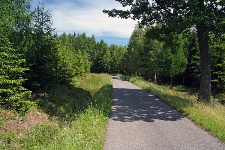 Mezi Pilskou a Lázskou, Struhy coby příkop u cesty