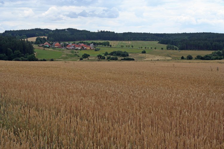 Třebsko