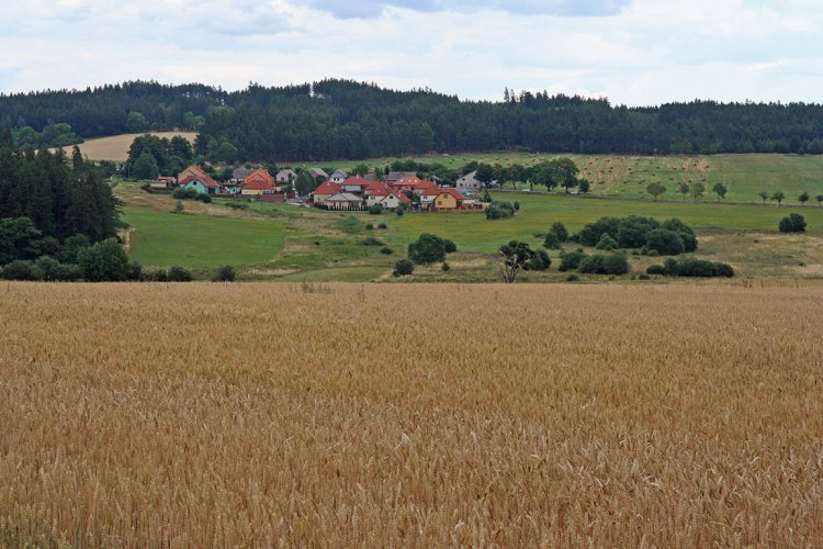 Třebsko