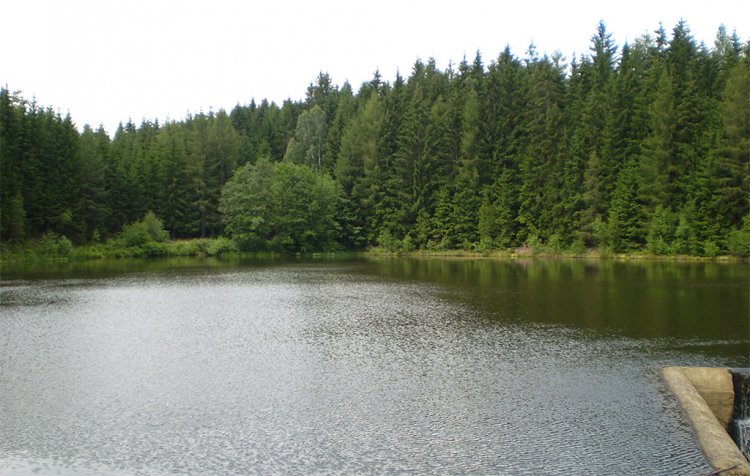 Údolí mezi Brdou a Jineckými hřebeny