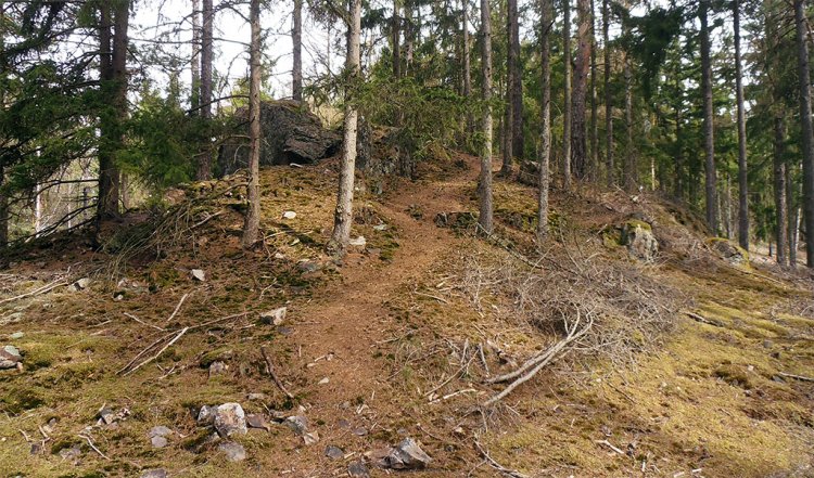 Vrch Hlava - 521 m n.m.