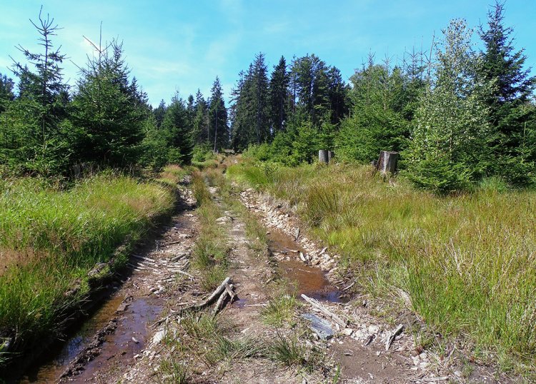 Vrch Marásek a okolí