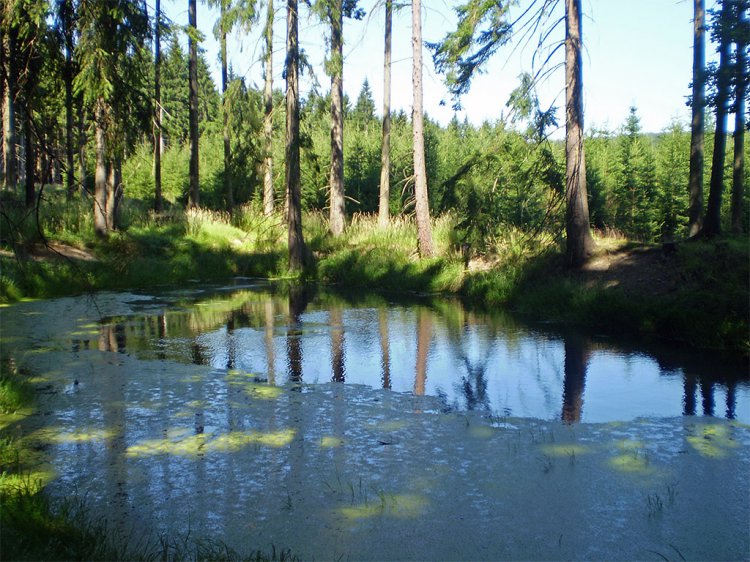 Zavírka, U poustevníka