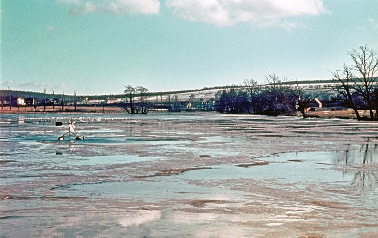 Rybníky u Pětidomí, 1961