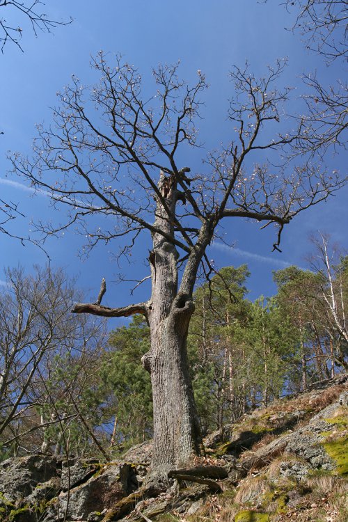 Žďár