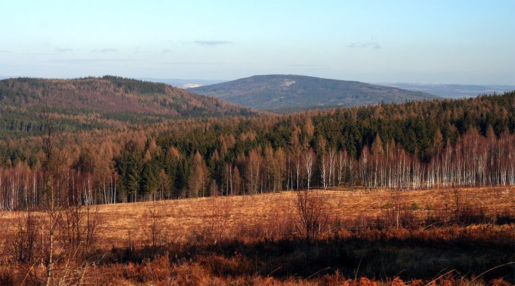 CP Brda, v pozadí Hřebeny a Plešivec