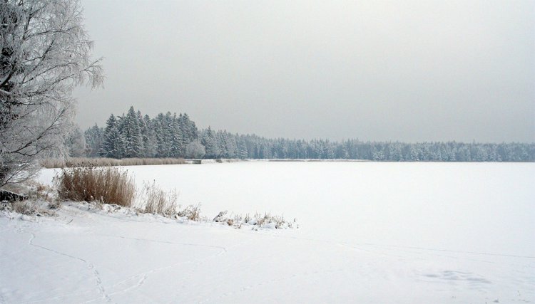 Hořejší Padrťský rybník