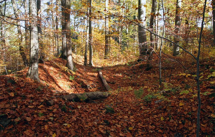 Podzim