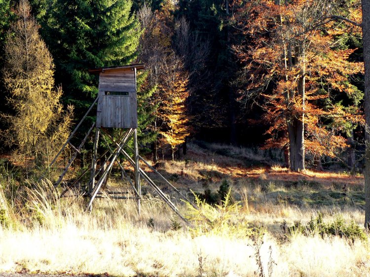 čihadlo