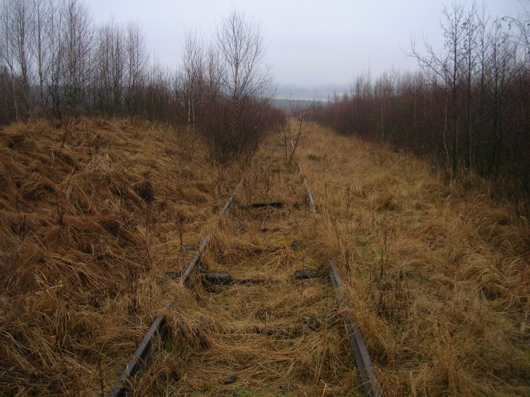 1.1.2010