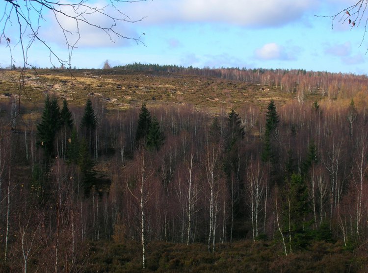 Jedlina - letecká cílová plocha