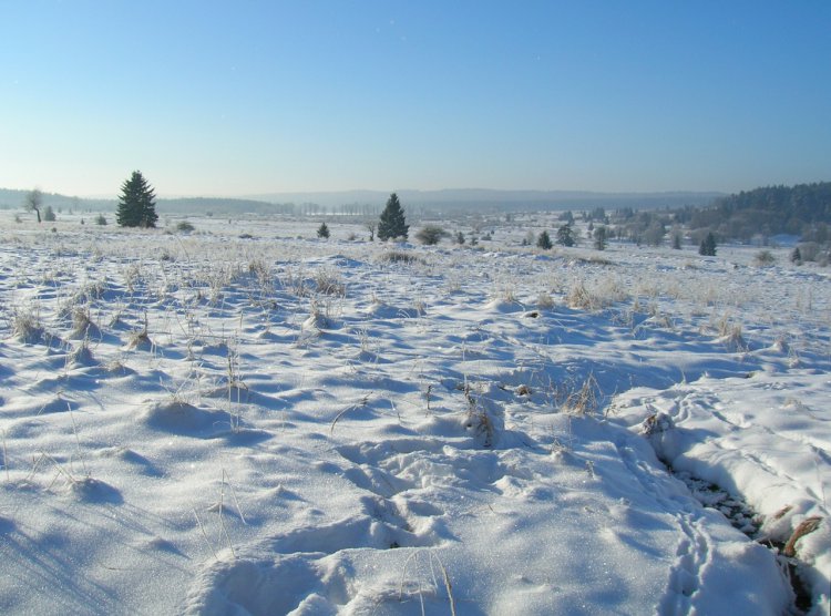 Padrťské pláně - pohled od studánky v Záběhlé