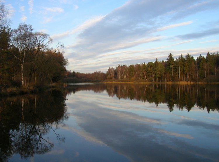 Tisý