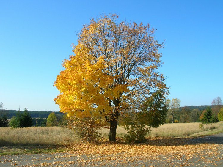 Zadní Záběhlá