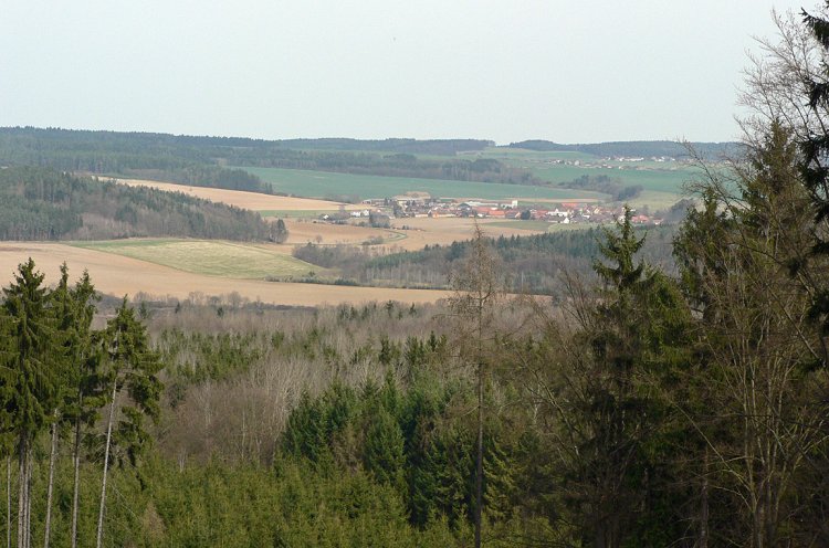Miniexpedice Po stopách smolaření na Rokycansku