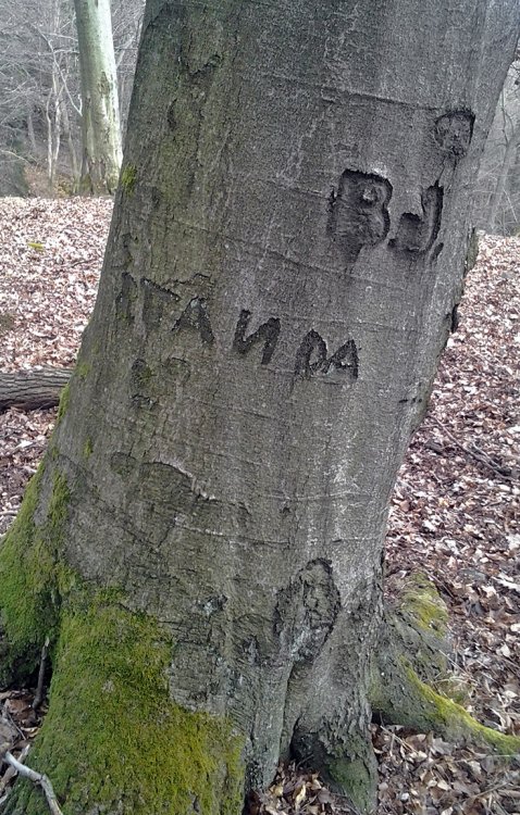 Kuchyňka