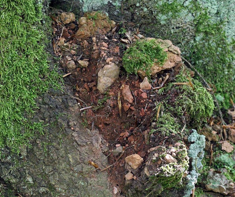 Lipovsko - do červena vypálená hlína v plášti pece