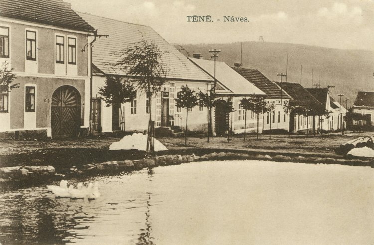Těně