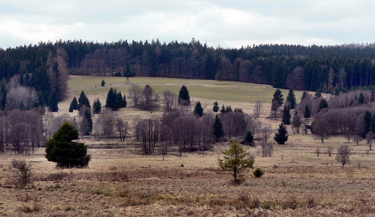 Padrť